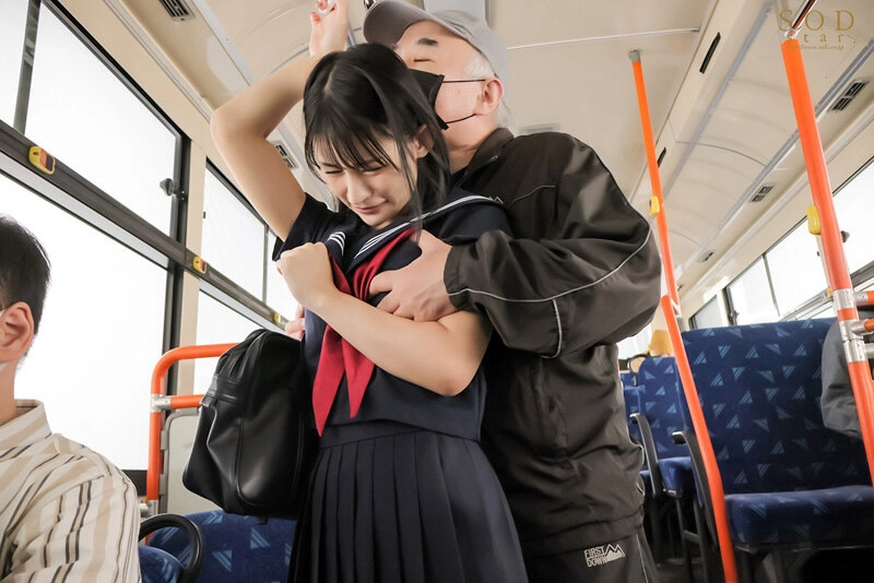 無垢な美少女はある日された痴〇をきっかけに公共の場でのセックスにハマってしまった…見られるかもしれないスリルに快感を覚えてしまい掲示板で自ら相手を募集するようになるまで。宮島めい 6,040 49